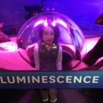 Luminescence – Christmas Lights Aquarium Style