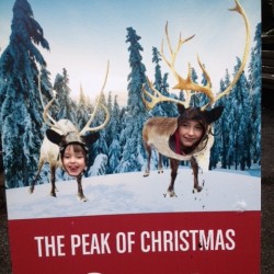 Peak of Christmas Crunchy Style