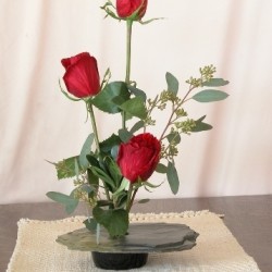Roses For Any Occassion