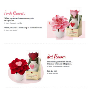 blooming_splash_3
