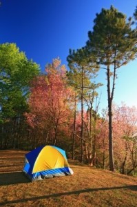 Camping by think4photop