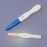 Do You Understand Your Fertility? 