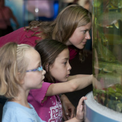 Amazing Summer Camp Opportunities from the Vancouver Aquarium