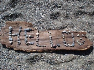 Whytcliffe Park Caitlyn's beach art