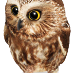 TELUS Helps Us Get WISE