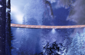 Capilano Suspension Bridge with Christmas Lights. North Vancouver, British Columbia, Canada