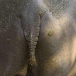 Out With the Old….