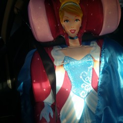 The Princess and the Booster Seat